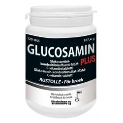 Glucosamin Plus 